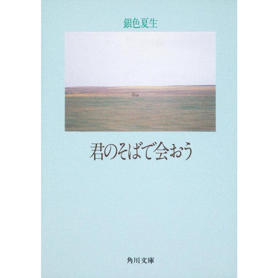 君のそばで会おう 銀色夏生 Bk Bookfanプレミアム 通販 Yahoo ショッピング