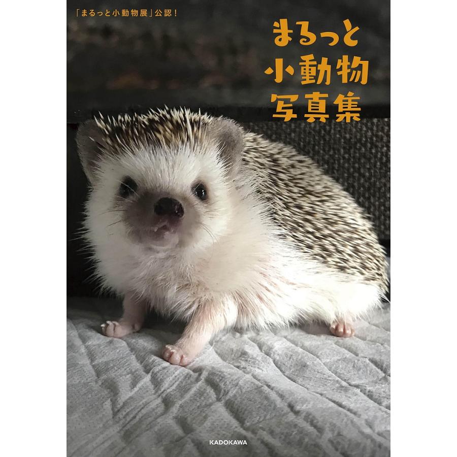 まるっと小動物写真集 まるっと小動物展 公認 Bacon Bk Bookfanプレミアム 通販 Yahoo ショッピング