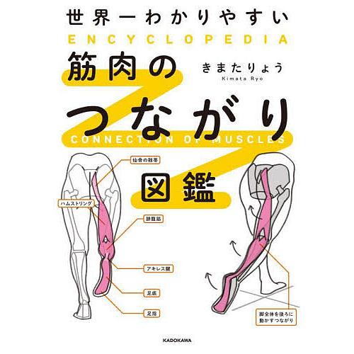 世界一わかりやすい筋肉のつながり図鑑/きまたりょう | 