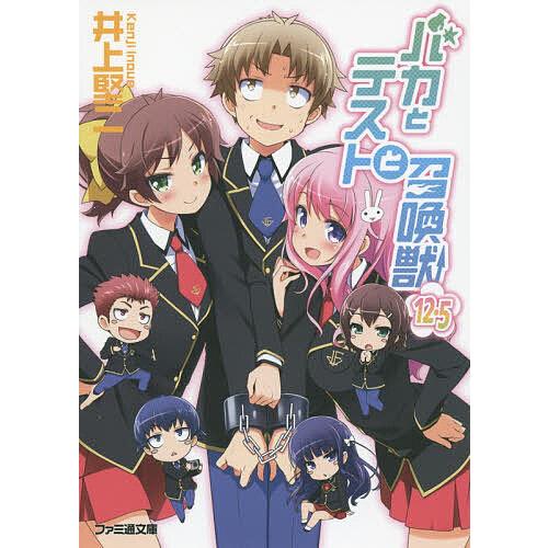 バカとテストと召喚獣 12.5/井上堅二 : bookfanプレミアム - 通販 