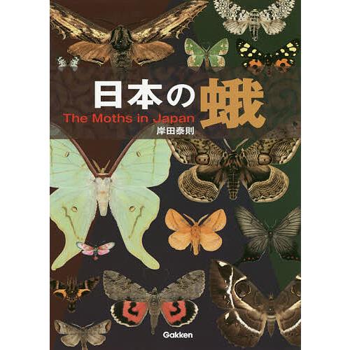 日本の蛾/岸田泰則 : bookfanプレミアム - 通販 - Yahoo