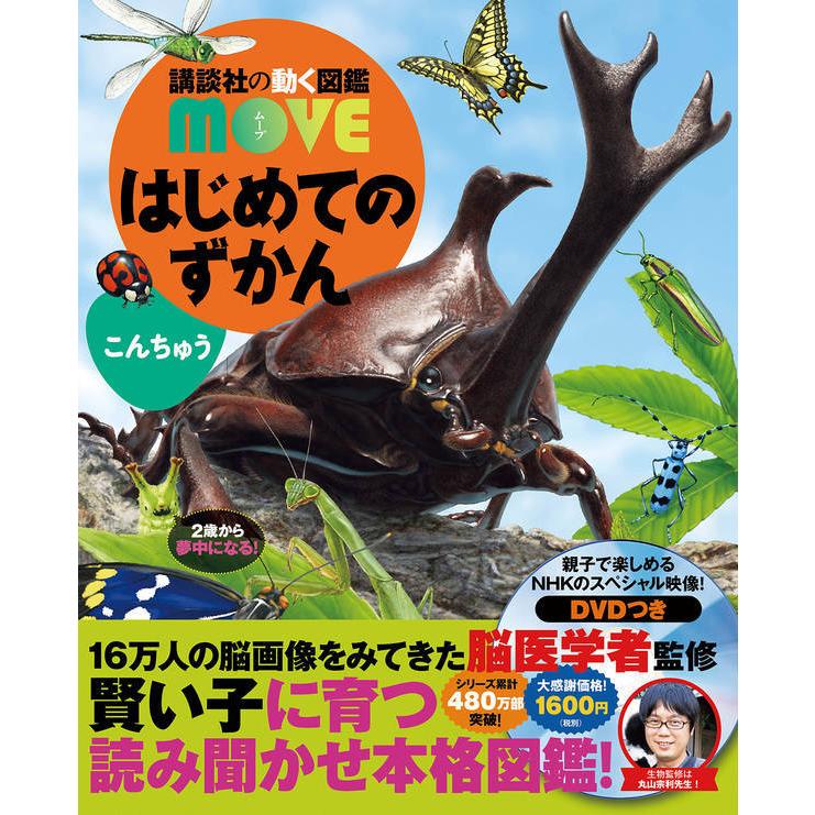 はじめてのずかんこんちゅう/瀧靖之/丸山宗利｜bookfan｜02