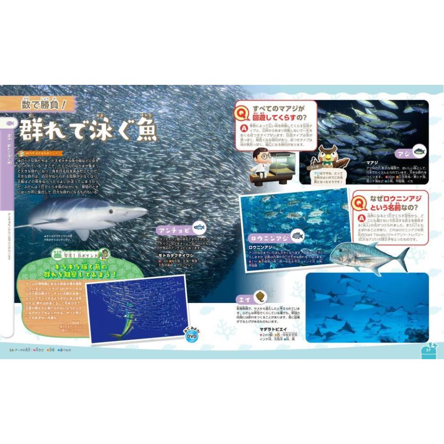 あつまれどうぶつの森島の生きもの図鑑/伊藤弥寿彦/平沢達矢/宮崎佑介