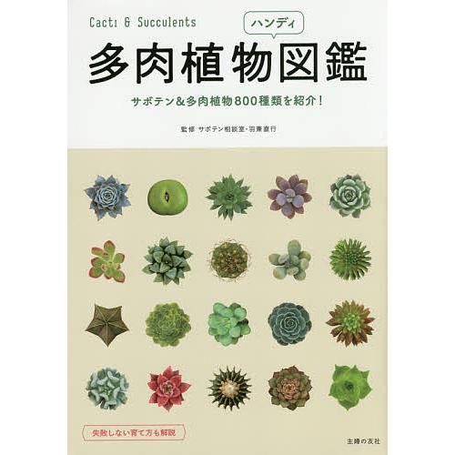 多肉植物ハンディ図鑑 サボテン 多肉植物800種類を紹介 羽兼直行 Bk Bookfanプレミアム 通販 Yahoo ショッピング