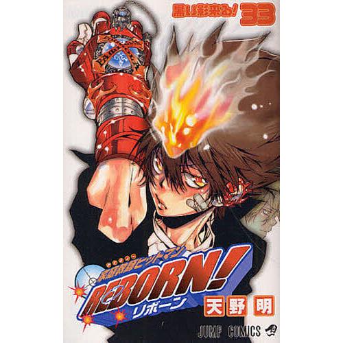 家庭教師ヒットマンREBORN! 33/天野明 | 