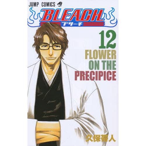 BLEACH 12/久保帯人 | 