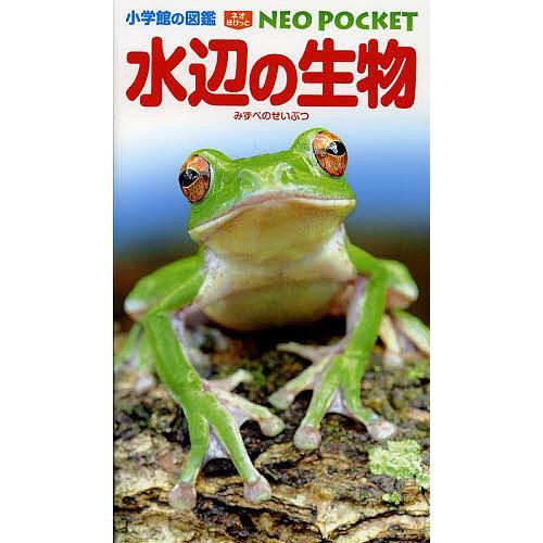 水辺の生物/白山義久/・執筆松沢陽士/撮影関慎太郎 | 