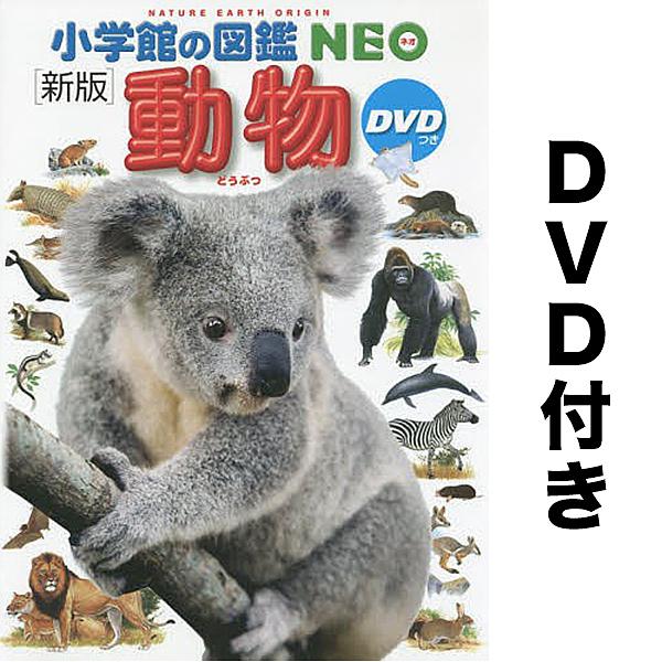 動物/三浦慎悟/・指導田中豊美 | 