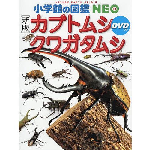 カブトムシ クワガタムシ/小池啓一 | 