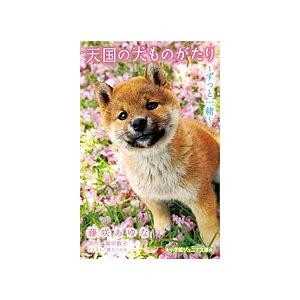 天国の犬ものがたり ずっと一緒/藤咲あゆな/堀田敦子/環方このみ  