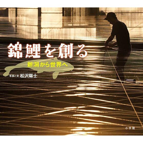 錦鯉を創る 新潟から世界へ/松沢陽士/子供/絵本 : bookfanプレミアム - 通販 - Yahoo!ショッピング