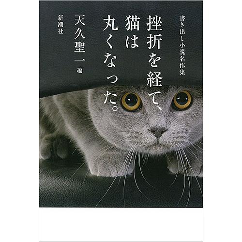 挫折を経て 猫は丸くなった 書き出し小説名作集 天久聖一 Bk Bookfanプレミアム 通販 Yahoo ショッピング