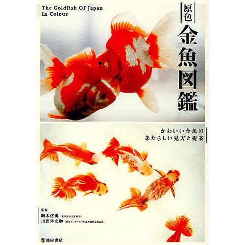 原色金魚図鑑 かわいい金魚のあたらしい見方と提案 岡本信明 川田洋之助 Bk Bookfanプレミアム 通販 Yahoo ショッピング