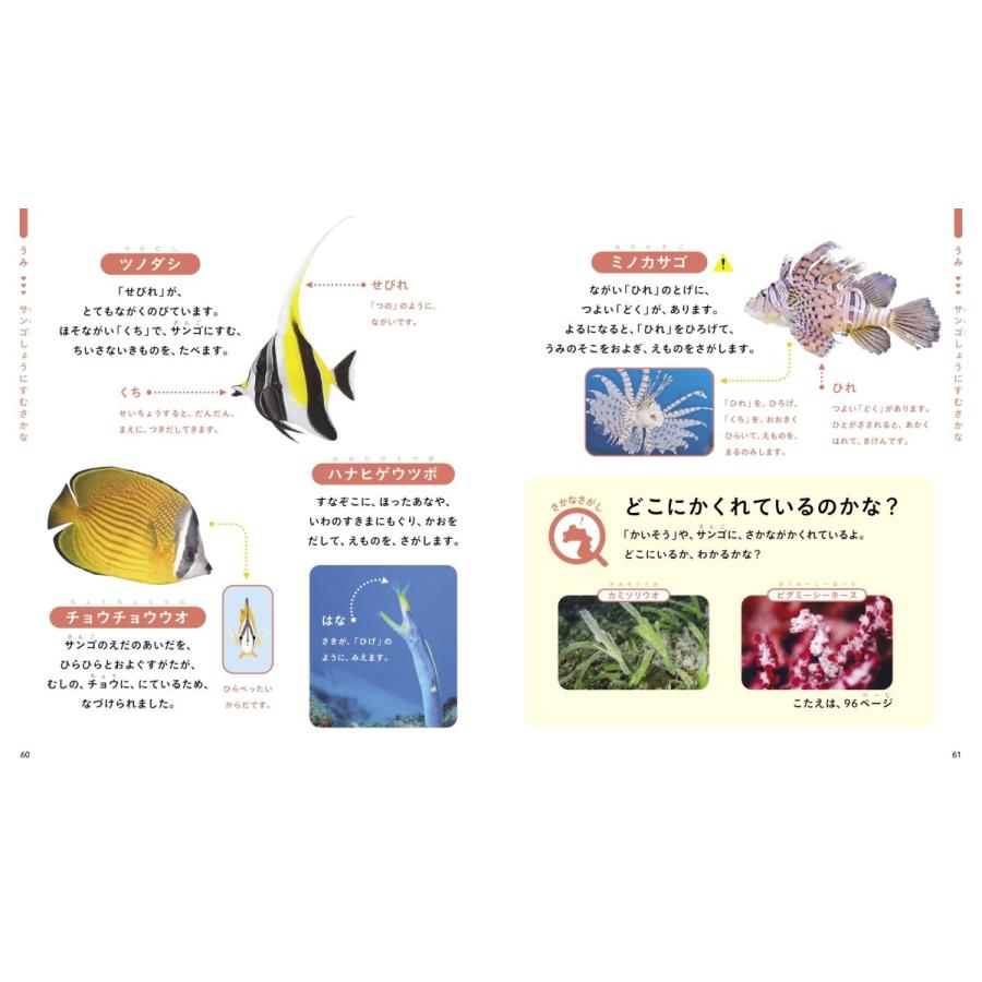 じぶんでよめるさかなずかん 対象年齢3〜6歳 うみのいきもの210しゅ