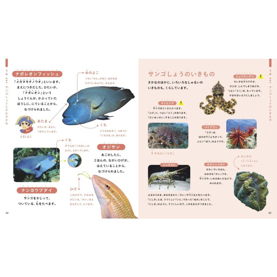 じぶんでよめるさかなずかん 対象年齢3〜6歳 うみのいきもの210しゅ