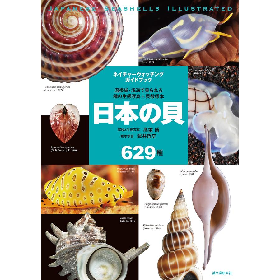 日本の貝 温帯域 浅海で見られる種の生態写真 貝殻標本 629種 高重博 Bk x Bookfanプレミアム 通販 Yahoo ショッピング