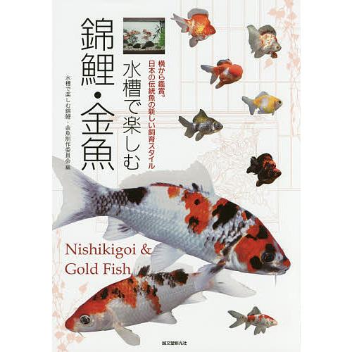 水槽で楽しむ錦鯉・金魚 横から鑑賞。日本の伝統魚の新しい飼育 
