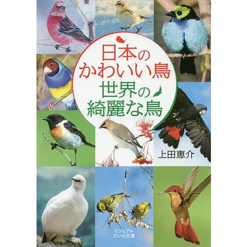 日本のかわいい鳥世界の綺麗な鳥 上田恵介 Bk x Bookfanプレミアム 通販 Yahoo ショッピング