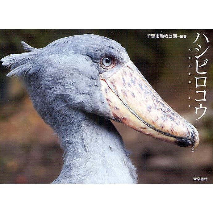 ハシビロコウ/千葉市動物公園 : bookfanプレミアム - 通販 - Yahoo