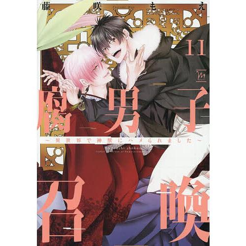 腐男子召喚 異世界で神獣にハメられました 11/藤咲もえ : bookfan