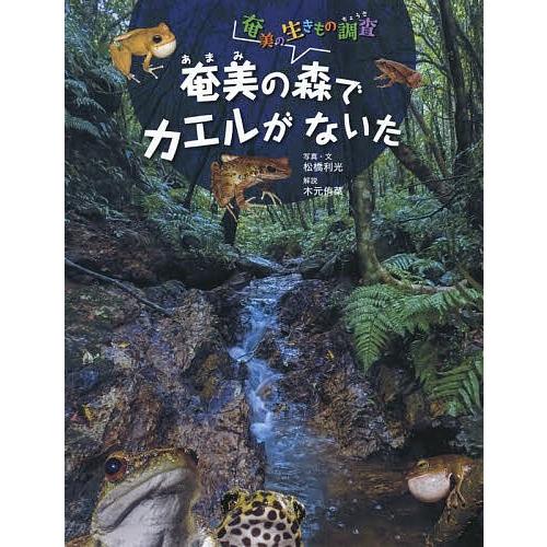 奄美の森でカエルがないた/松橋利光｜bookfan
