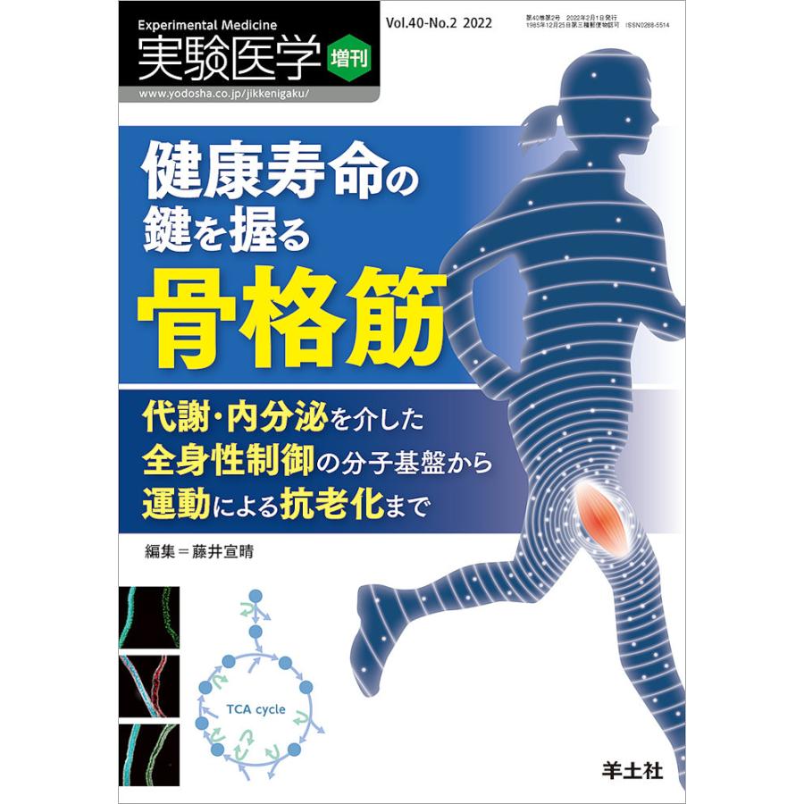 本 実験医学 2002年 1年分 全17冊セット