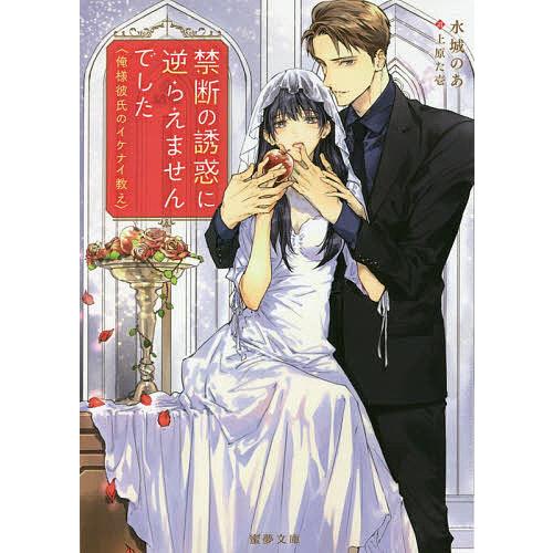 禁断の誘惑に逆らえませんでした 俺様彼氏のイケナイ教え 送料無料限定セール中 水城のあ
