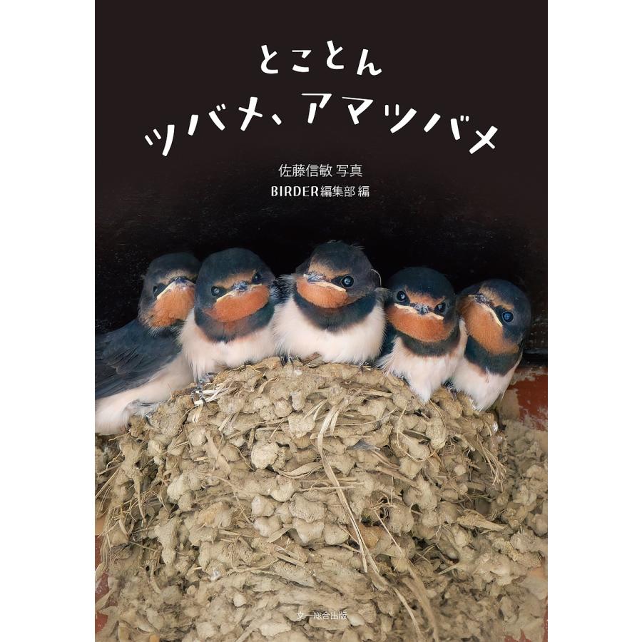 とことんツバメ、アマツバメ [書籍]