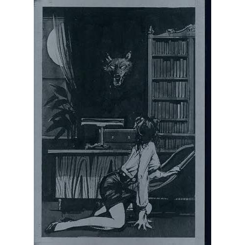 本 生瀬範義 イラストレーション ハードカバー 限定版 徳間書店 現状品