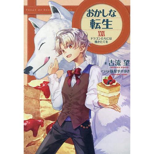 本 おかしな転生 小説 29冊セット
