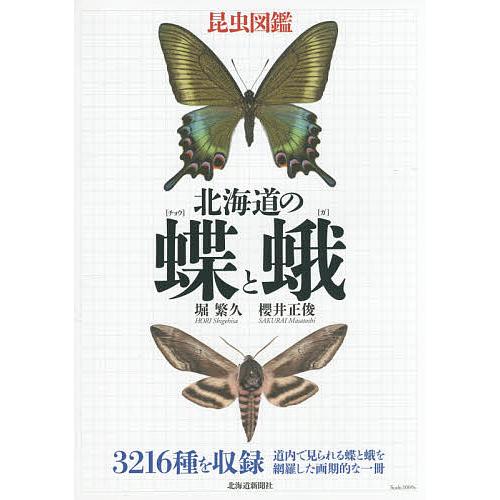 毎週末倍 倍 ストア参加 北海道の蝶と蛾 昆虫図鑑 堀繁久 櫻井正俊 参加日程はお店topで Bk Bookfanプレミアム 通販 Yahoo ショッピング