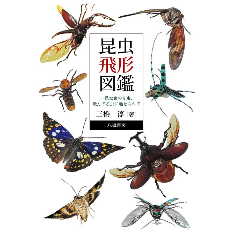 昆虫飛形図鑑 昆虫食の先生、飛んでる虫に魅せられて/三橋淳 : bookfan
