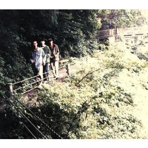 初回紙ジャケット仕様 フィッシュマンズ ロングシーズン Fishmans long