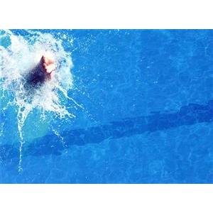 DIVE!! Blu-ray BOX(Blu-ray Disc)/井上瑞稀,高橋優斗,作間龍斗,馬場 