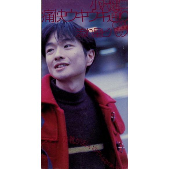 小沢健二『痛快ウキウキ通り』シングルCD カップリング曲『流れ星