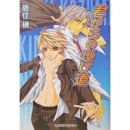 君からの逃げ道 f-LAPIS/鹿住槇(著者) | ブランド登録なし