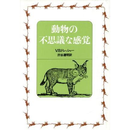 動物の不思議な感覚 フィタス ｂ ドレッシャー 著者 渋谷達明 著者 Bookoff Online ヤフー店 通販 Yahoo ショッピング