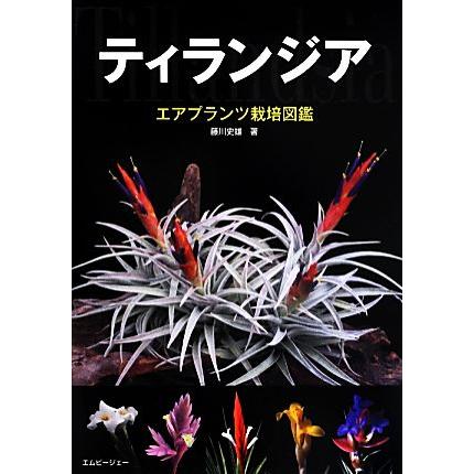 ティランジア エアプランツ栽培図鑑 アクアライフの本 藤川史雄 Wilcon Com Pe