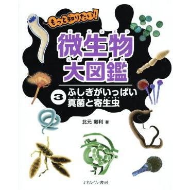 もっと知りたい 微生物大図鑑 ３ ふしぎがいっぱい真菌と寄生虫 北元憲利 著者 Bookoff Online ヤフー店 通販 Yahoo ショッピング