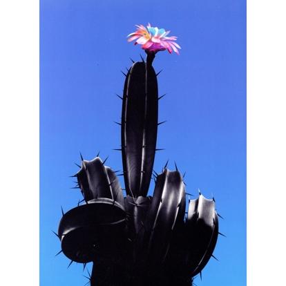 Вуе-Вуе Show 初回生産限定盤　BiSH Amazon.co.jp: Bye-Bye Show(初回生産限定超豪華盤)(CD+Blu-ray3枚組+