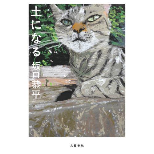 土になる / 坂口　恭平　著 | 