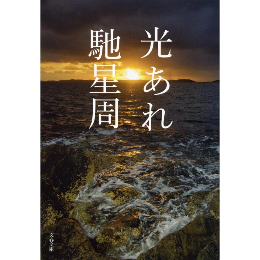 光あれ / 馳星周／著 | 