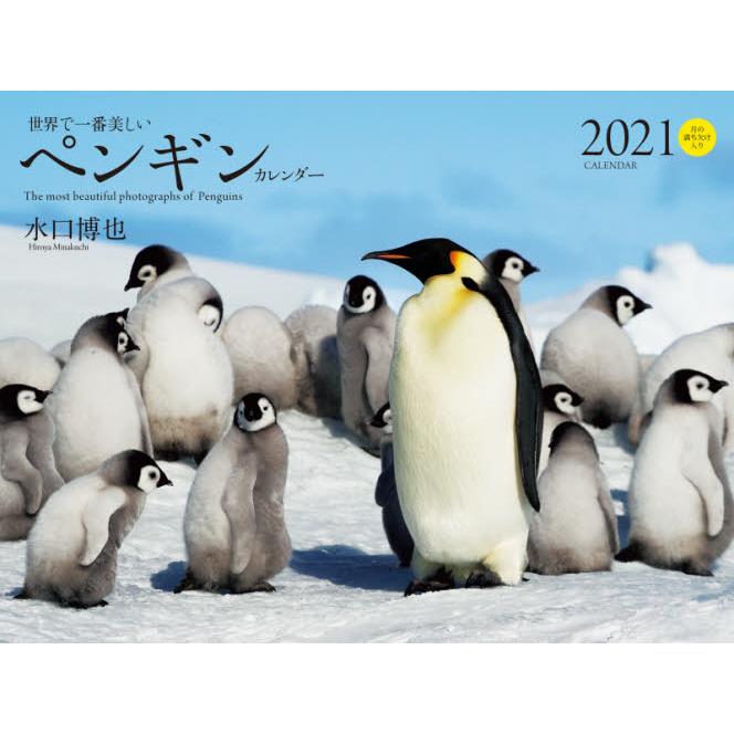 ’２１　世界で一番美しいペンギンカレンダ / 水口　博也　写真｜books-ogaki