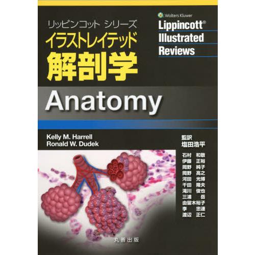 送料無料 イラストレイテッド解剖学 ｋｅｌｌｙ ｍ ｈａｒｒｅｌｌ 著 ｒｏｎａｌｄ ｗ ｄｕｄｅｋ 著 塩田浩平 監訳 石村和敬 ほか訳 新品 Studiostodulky Cz