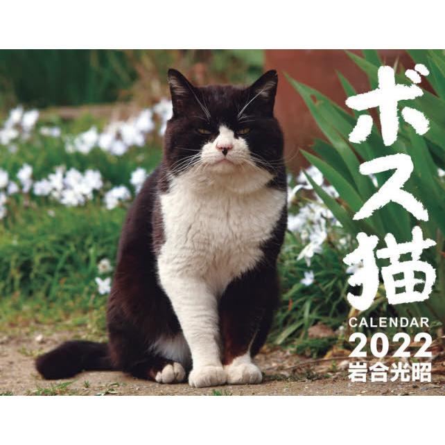 ボス猫カレンダー　２０２２ / 岩合　光昭　写真｜books-ogaki