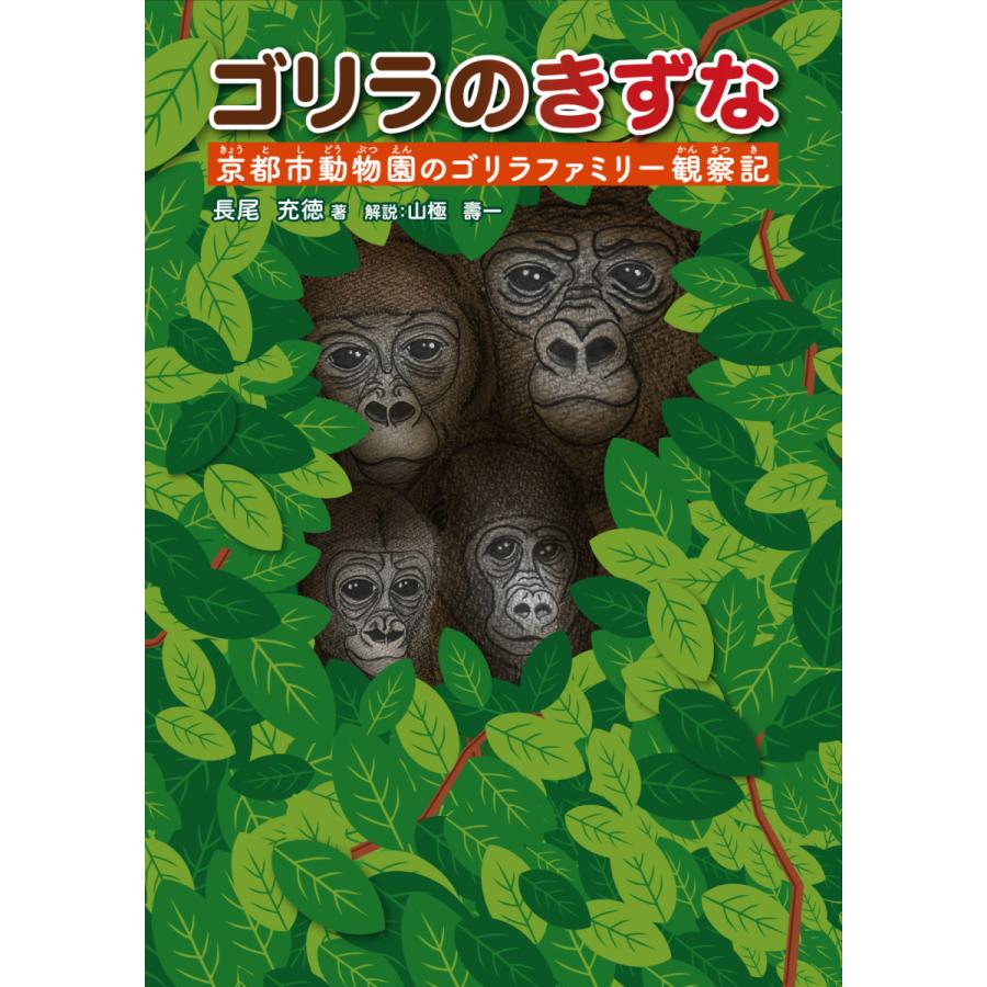 特典ポストカード付き ゴリラのきずな 京都市動物園のゴリラファミリー観察記 京都 大垣書店オンライン 通販 Paypayモール