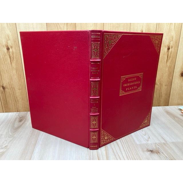 洋書/ラン科植物選集 select orchidaceous plants／ロバート・ワーナー