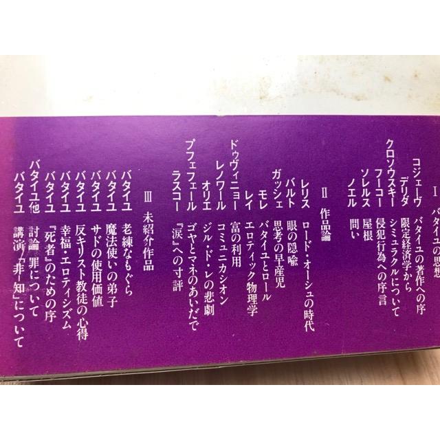 ジョルジュ・バタイユ著作集 全15巻揃+バタイユの世界 ジョルジュ・バタイユ著作集 全15巻揃+バタイユの世界