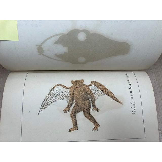 駿国雑志 全11冊揃【1巻 第49巻8冊+附図3冊】／阿部正信／吉見書店_9