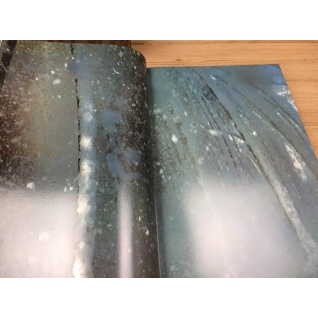 竹の世界 高間新治写真集/大型本／高間新治／同朋舎／【送料350円 